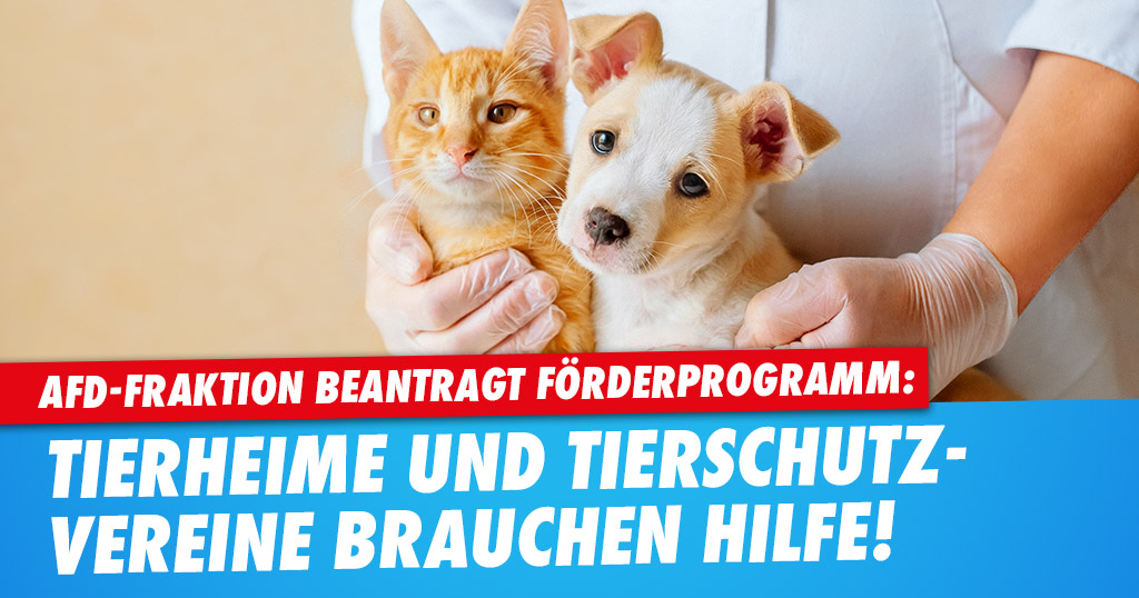 Hilfen für Krefelder Tierheime und Tierschutzvereine!
